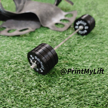 Customizable Event Miniature Barbell, PRIDE gym present for your weightlifter, powerlifter or CrossFit athlete