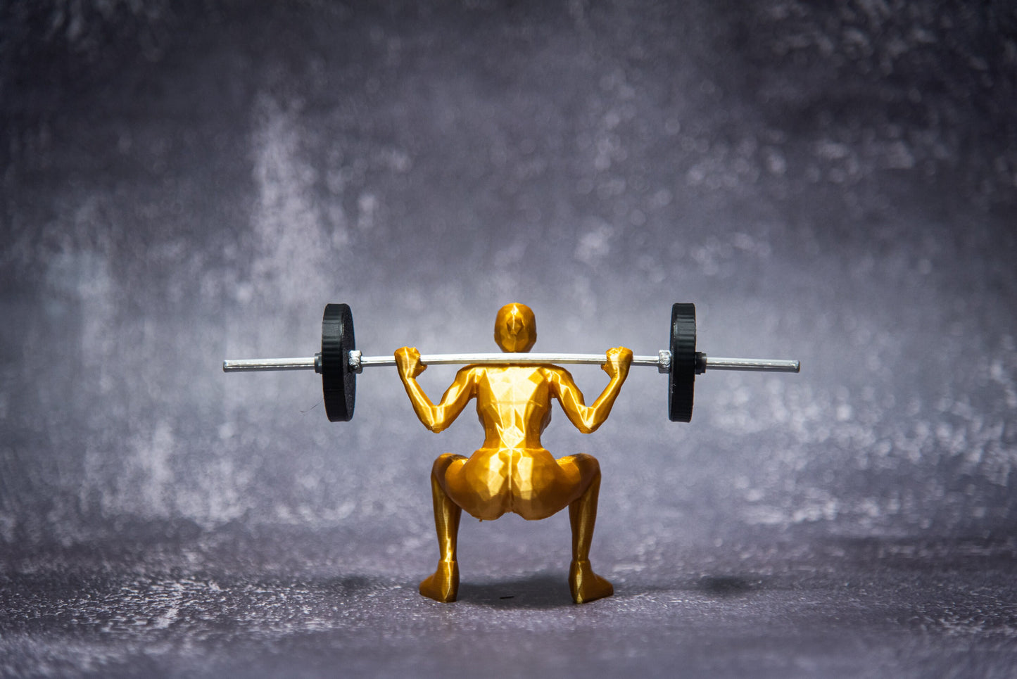 Back Squat Woman, Show off your lift-Crossfit gift, Weightlifting, Powerlifting Statue and Barbell, Miniature Barbell weights for gym rats