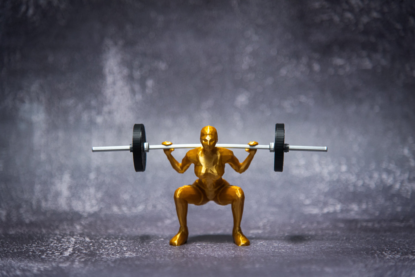 Back Squat Woman, Show off your lift-Crossfit gift, Weightlifting, Powerlifting Statue and Barbell, Miniature Barbell weights for gym rats